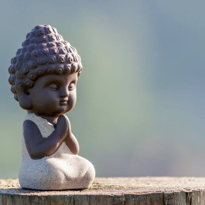 Native Wisdom Prosperity & Abundance -  Ebook