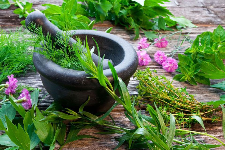 Sacred Kitchen Sanctuary - Advanced Energy of Food AUDIO Class
