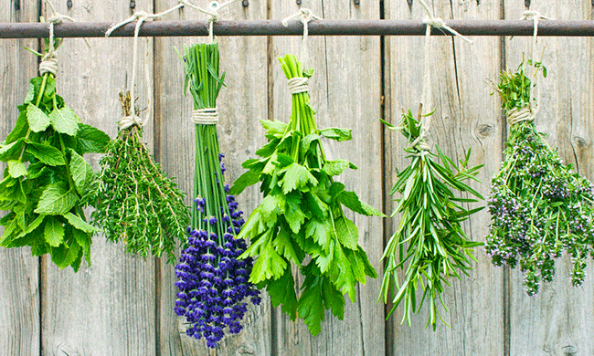 Sacred Kitchen Sanctuary - Native Methods AUDIO Class